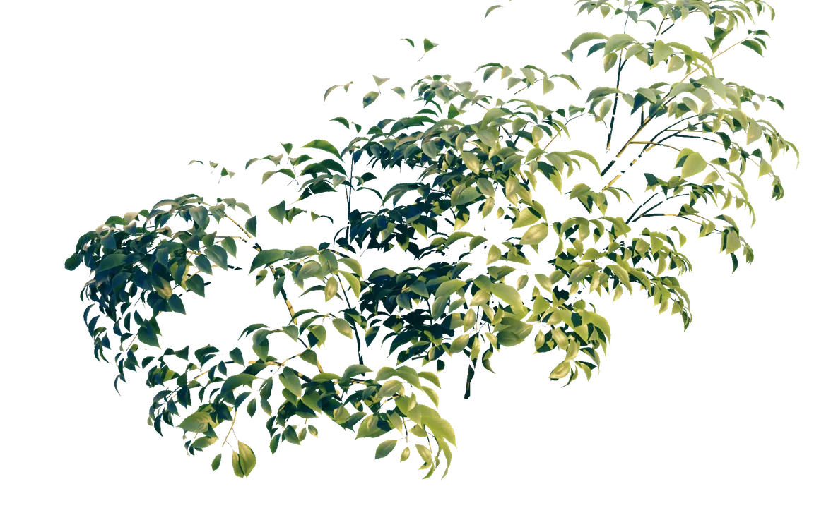 Tree Overlay